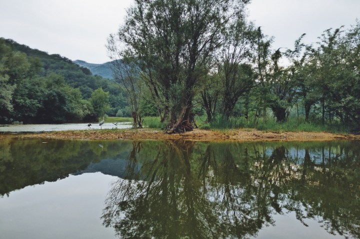 Processed with VSCO with a9 preset