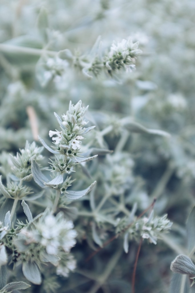 Processed with VSCO with a5 preset