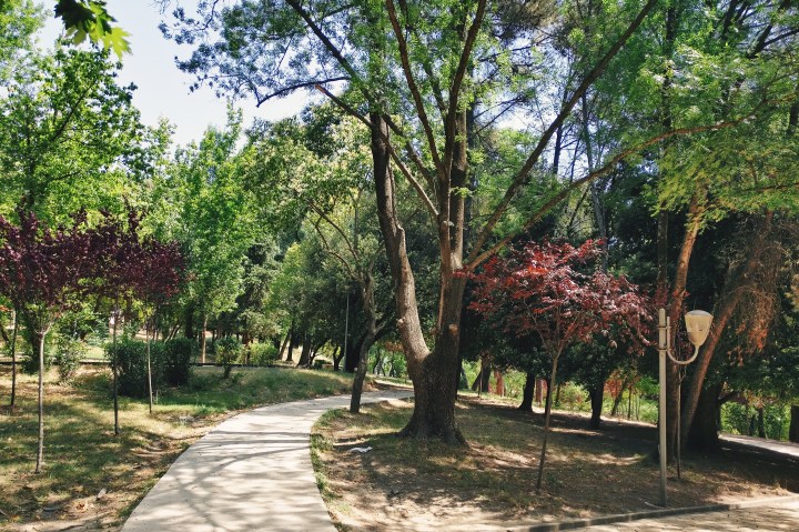 Processed with VSCO with c2 preset