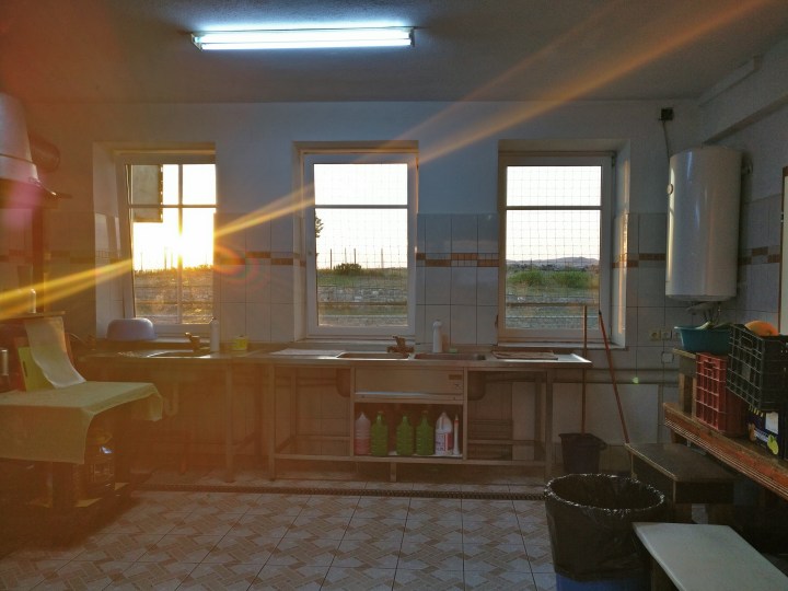 28BA44C5-A2D1-4BCD-A690-E797DA4D3E3F