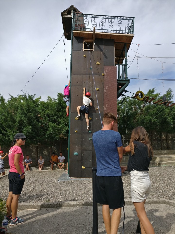 92202B9D-86E5-432D-B662-78111C7EC098